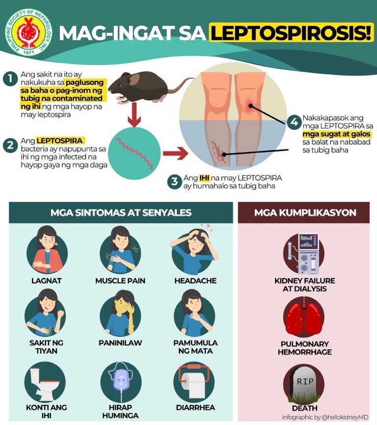 Mag-Ingat sa Leptospirosis